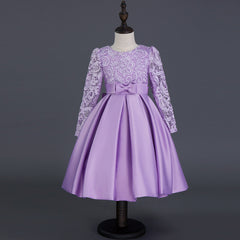 Carisa Europe and America autumn and winter children's dress princess dress long sleeve flower girl dress female purple lace costumes wholesale