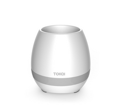 Touch-sensitive music vase desktop audio