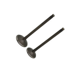 Exhaust Valve Natural Gas Engine Parts Heavy Truck Bus Bus