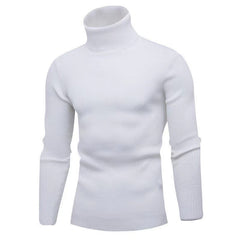 Men's Solid Color Turtleneck Sweater Slim Fit Sweater